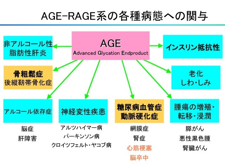 AGE検査 | 渋谷セントラルクリニック アンチエイジング・個別化医療