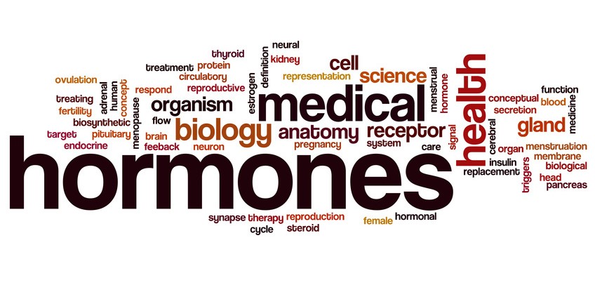 Hormones-word-cloud